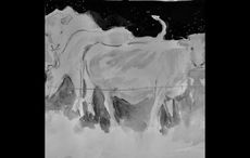 Lost at Cousin Jackie's