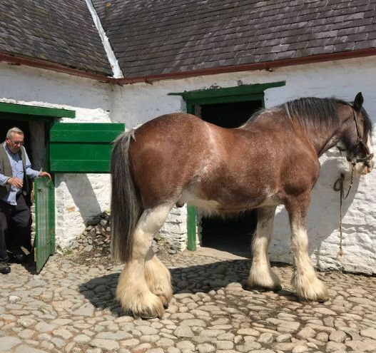 What's the weather in Ireland? Irish weather talk, forecasting