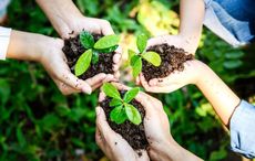 GIVEAWAY: Win a native Irish tree planted in West Cork for Earth Day! 