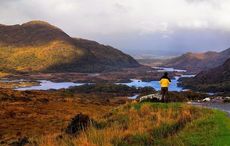 Killarney National Park in "terrible state" after years of neglect, conference hears