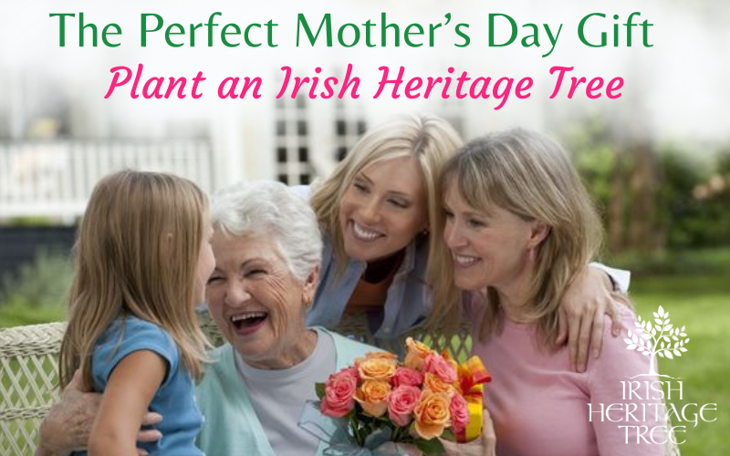 Mother's Day gift idea: Honor your Mom with an Irish Heritage Tree planted in Ireland