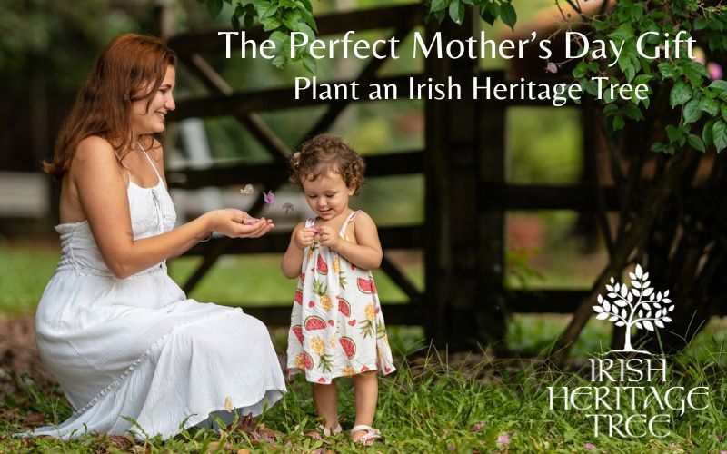 Honor your Mom with a heritage tree planted in Ireland - exclusive 20% off 