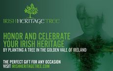 Join Liam Neeson this Mother’s Day by planting a tree in Ireland