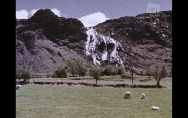 \"Beara\" is now available to stream via the Irish Film Institute.
