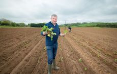 Irish catering company acquires 20-acre farm in bid to become carbon-neutral