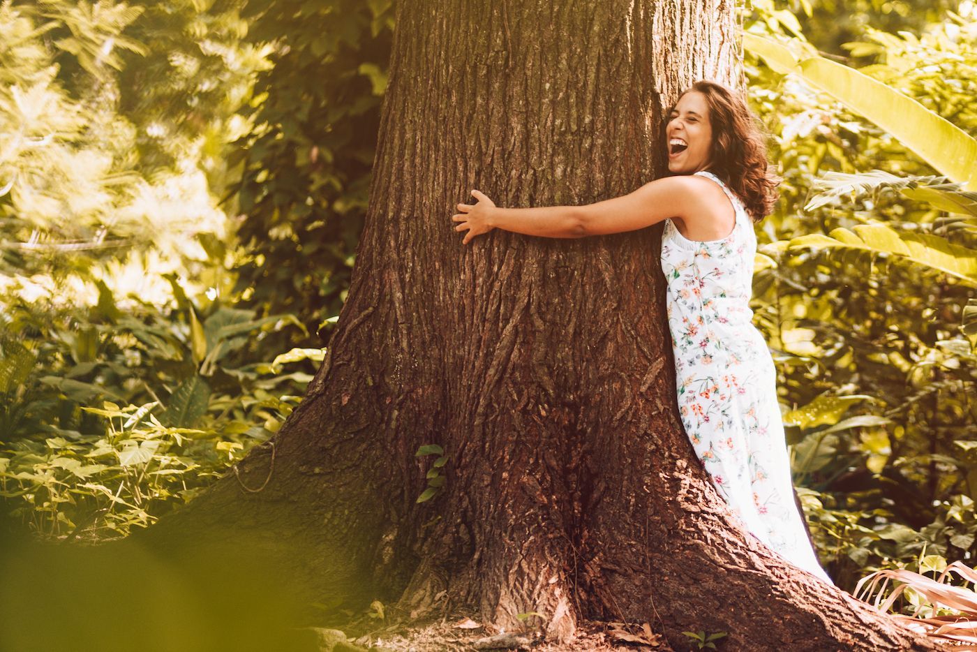 Irish Heritage Tree celebrates Love a Tree Day