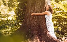 Irish Heritage Tree celebrates Love a Tree Day