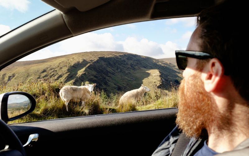 LAST CHANCE: Win $500 car rental voucher for your travels around Ireland