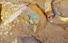 Titanic footage uncovers gold shark’s tooth necklace that will never be recovered