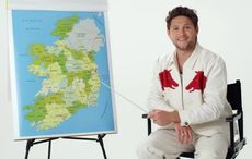 WATCH: Niall Horan teaches you how to be Irish in charming video
