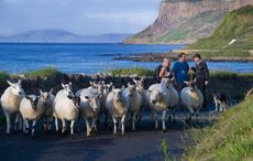 Ireland has changed utterly since the 1950s but reassuringly stays the same