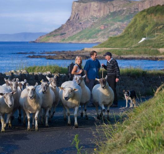 Ireland has changed utterly since the 1950s but reassuringly stays the same