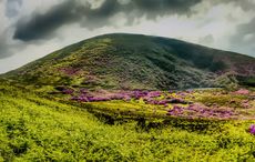 "You will certainly return for more" - John Hinde on photography in Ireland