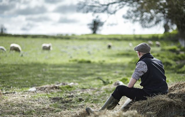 Farming turmoil: \"In rural Ireland, this wind is merely a case of hot air emissions emanating from both cattle and politicians.\"