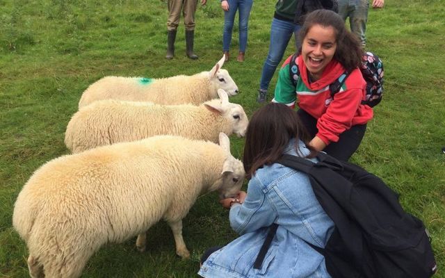 Experience a summer of a lifetime in Ireland at IDL Donegal\'s international camp.
