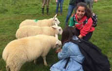 Limited spaces left at summer camp for North American teens in Co Donegal 