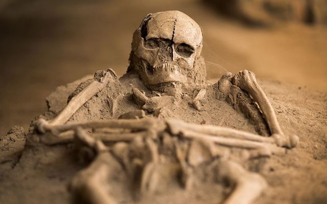 Skeletal remains and historic buildings discovered on site of Dublin hotel