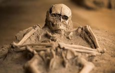 Skeletal remains and historic buildings discovered on site of Dublin hotel