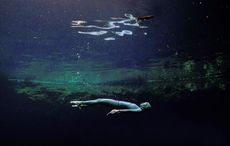 The Irish director behind the new Netflix hit "The Deepest Breath"