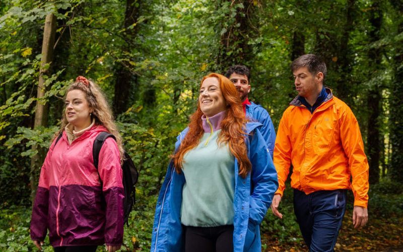 Irish Heritage Tree customers share their special dedications - Vimarsana News