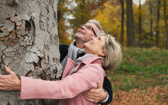 Irish Heritage Tree customers share their special dedications behind planting a tree in Ireland 