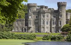 Secret centuries old room discovered at Wexford castle