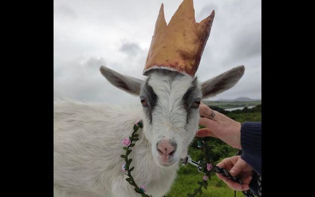 Queen of the Goats returns to Portmagee, Co Kerry on August 18.