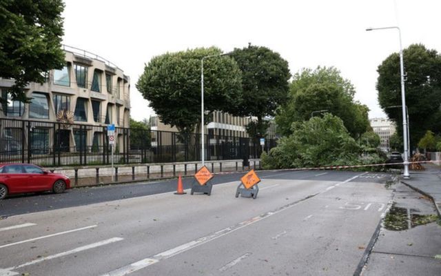 A felled tree outside the US Embassy in Dublin following Storm Betty. 