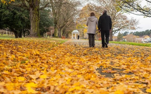 An older couple walks through the autumn leaves at the War Memorial Gardens in Dublin City, Ireland.\n