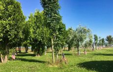 FDNY Emerald Society to visit 9/11 memorial in Ireland