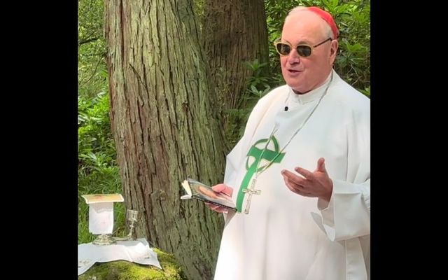 Cardinal Timothy Dolan delivering his homily at a Mass rock in Killarney, Co Kerry.