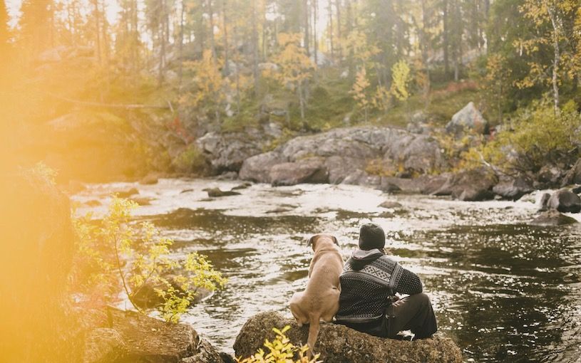 The most picturesque places to walk your dog in Ireland