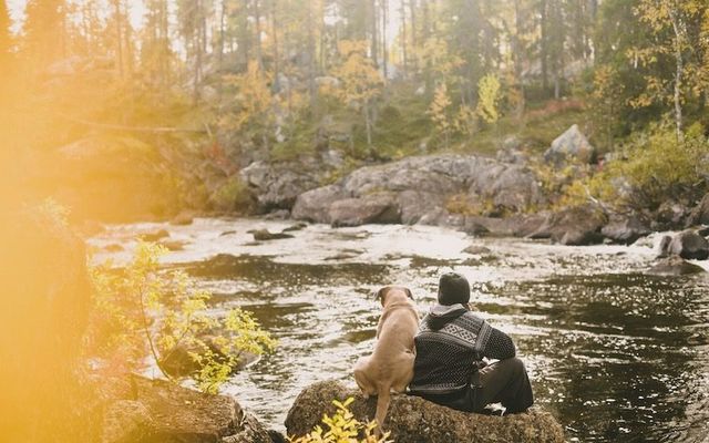 A dog and its owner enjoy the changing colors of autumn by a river.