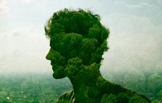 Irish bishops announce initiative to return 30% of church grounds to nature by 2030