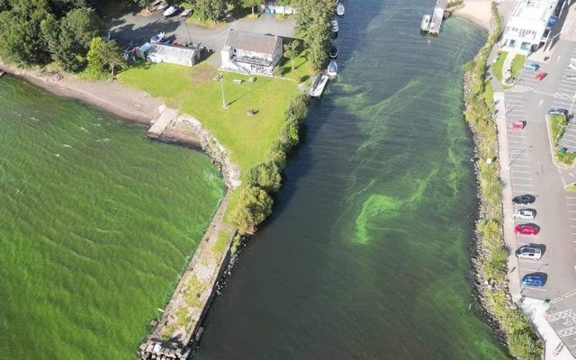 An aerial view of Lough Neagh in Northern Ireland.