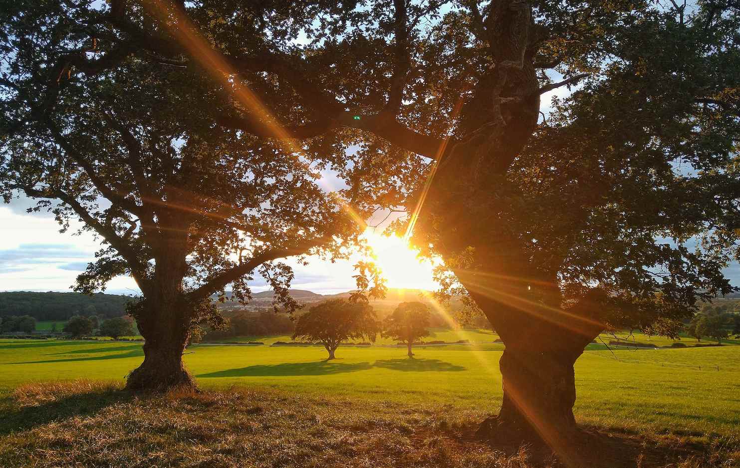People power - County Laois locals guard the county's heritage and nature