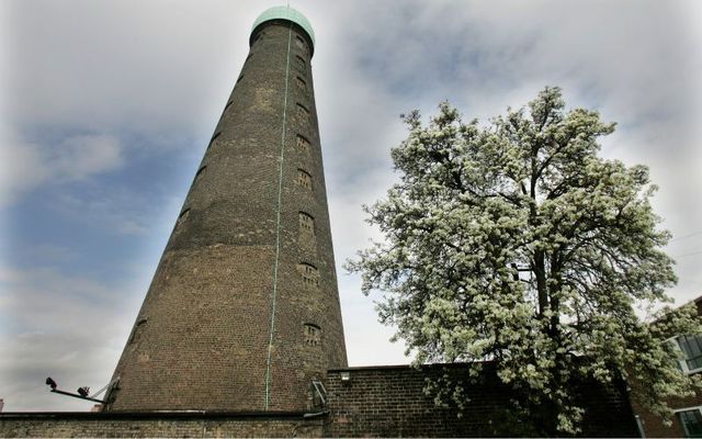 St. Patrick\'s Tower in Dublin with its longtime neighbor, a pear tree!