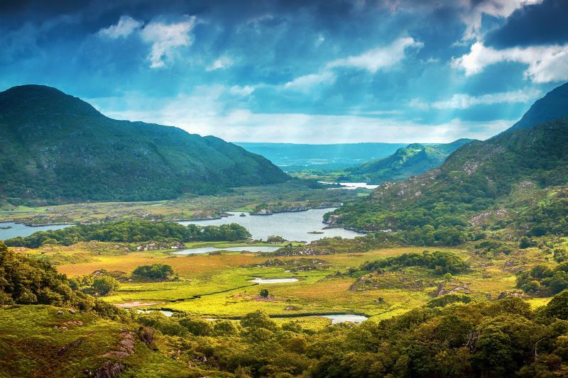 Ireland's top woodland walks, perfect for an autumnal stroll