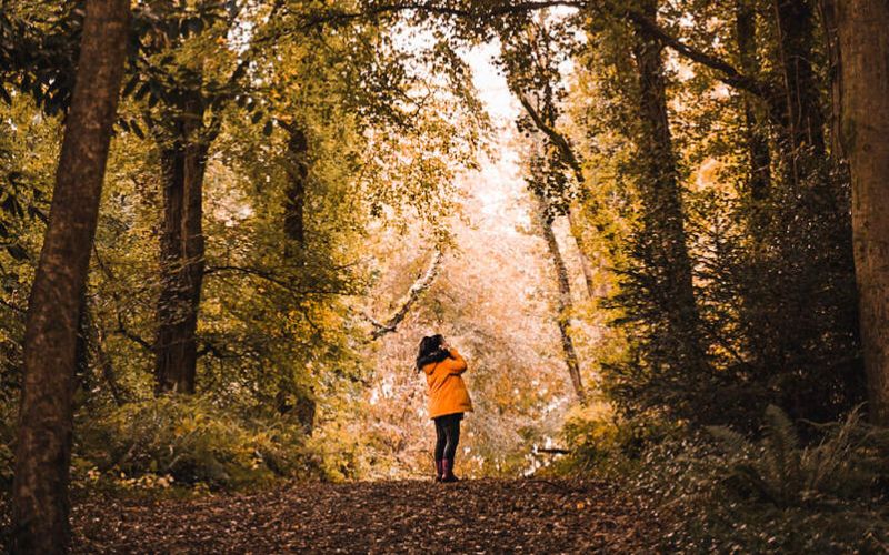 What are Ireland's Bank Holidays in 2024?