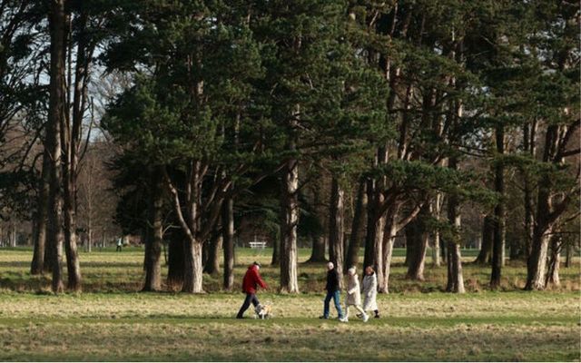 What are Ireland's Bank Holidays in 2024?