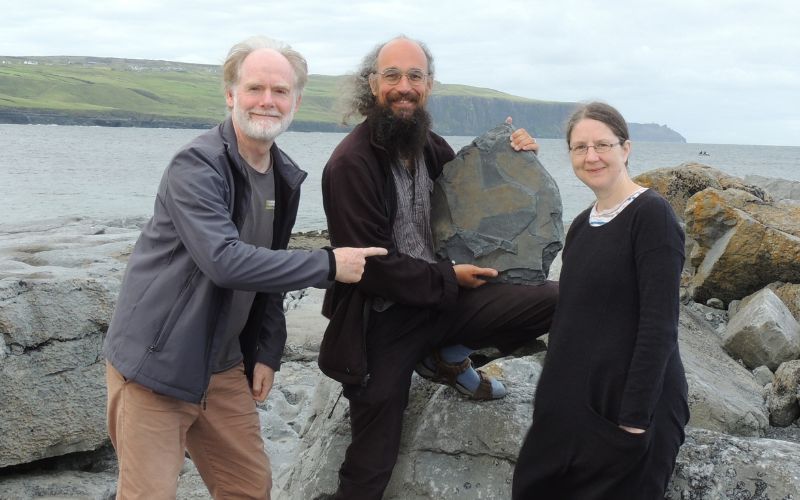 315-million-year-old fossil sponge discovered near the Cliffs of Moher