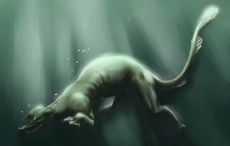 Ireland’s Hound of the Deep - the Irish mythical monster Dobhar Chú