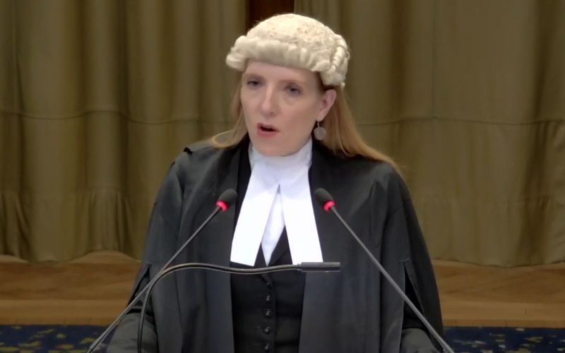 WATCH: Irish lawyer delivers argument in The Hague for genocide case against Israel