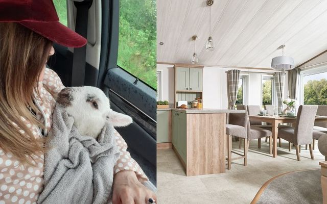 This Donegal raffle is giving away a home and a patch of land in Ireland for just $79