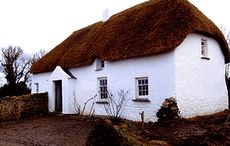 Historic thatched farmstead in County Wexford set for further restoration