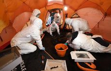 PSNI uncovers 2,000-year-old "bog body" in County Derry