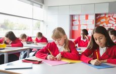 Irish schoolchildren most literate in EU, report finds
