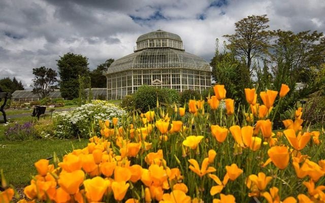 Stop and smell the flowers at the National Botanic Gardens in Dublin.