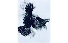 Flying with Seamus Heaney - creating a Greek chorus of Irish trees