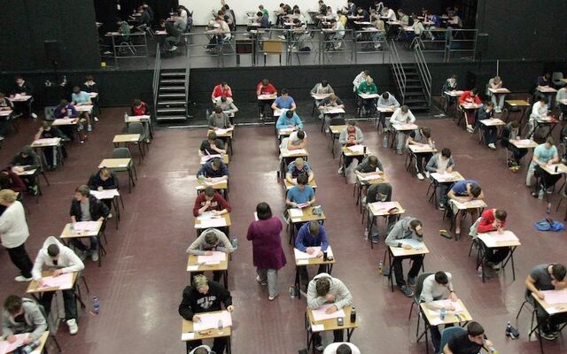 Two deaf students in Ireland are campaigning to have Irish Sign Language (ISL) as a Leaving Cert exam subject.